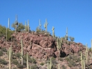 PICTURES/Tonto National Monument/t_Area around ruins.JPG